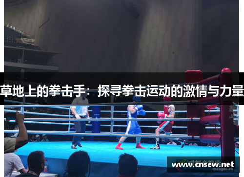 草地上的拳击手：探寻拳击运动的激情与力量